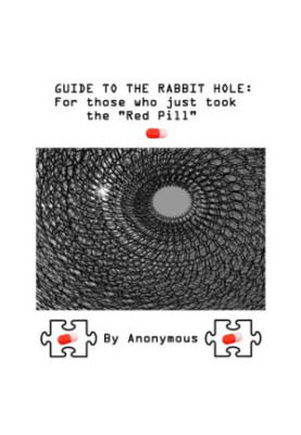Guide to the Rabbit Hole: For Those Who Just Took the 'Red Pill'