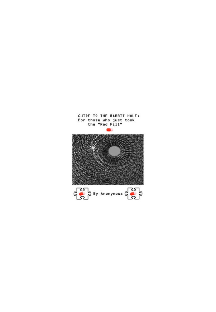 Guide to the Rabbit Hole: For Those Who Just Took the 'Red Pill'