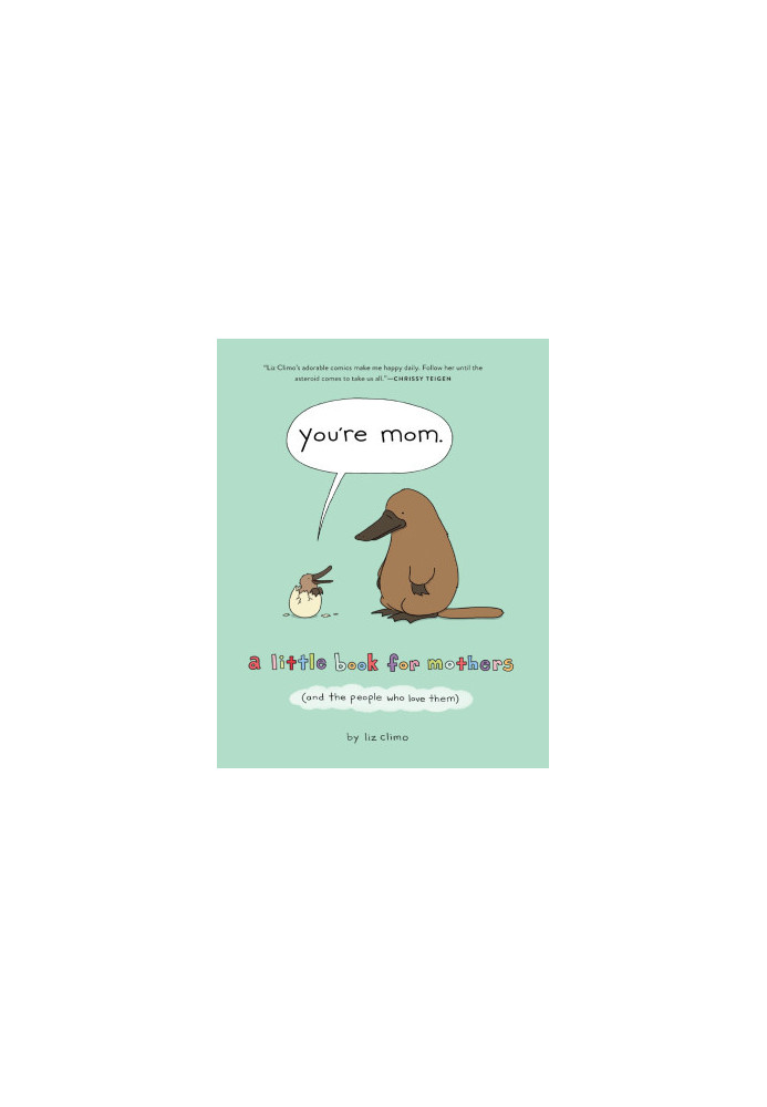 You’re Mom : A Little Book for Mothers (and the People Who Love Them)