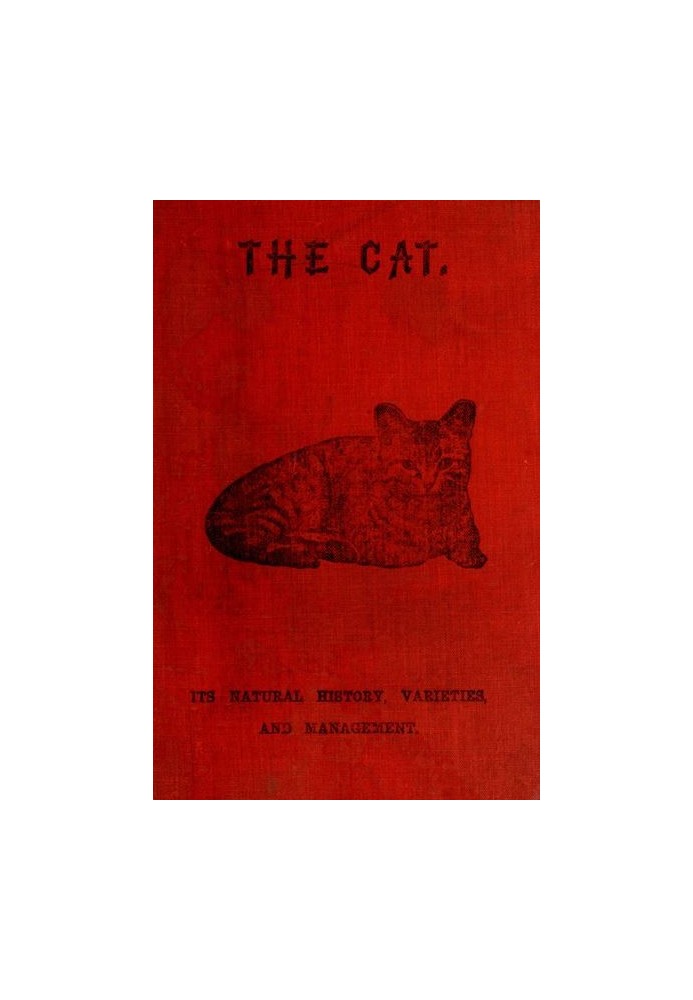 The Cat: Its Natural History; Domestic Varieties; Management and Treatment