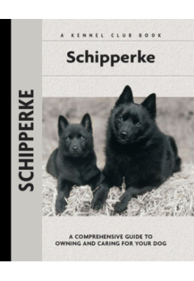 Schipperke