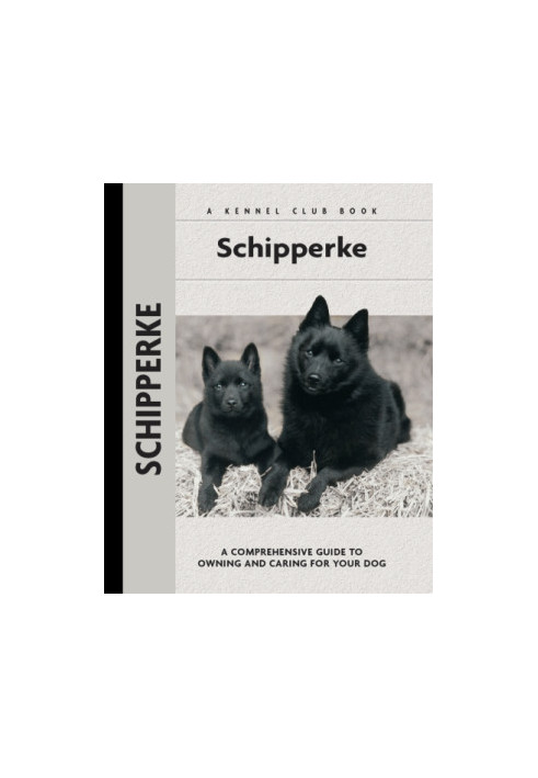 Schipperke