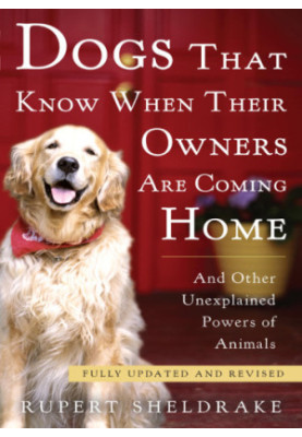 Dogs that know when their owners are coming home: and other unexplained powers of animals