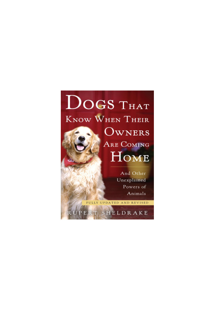 Dogs that know when their owners are coming home: and other unexplained powers of animals