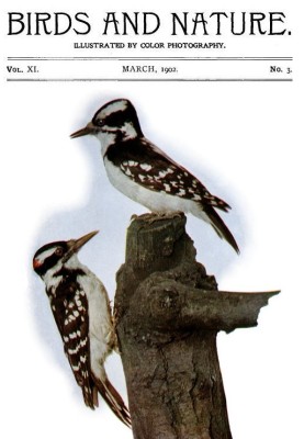 Birds and Nature Vol. 11 No. 3 [March 1902] Illustrated by Color Photography
