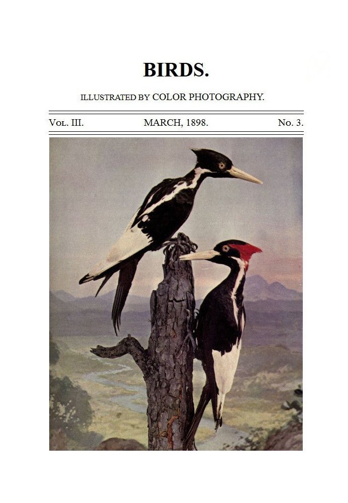 Birds and All Nature, Vol. 3, No. 3, March 1898 Illustrated by Color Photography