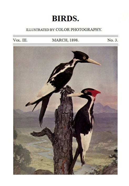 Birds and All Nature, Vol. 3, No. 3, March 1898 Illustrated by Color Photography