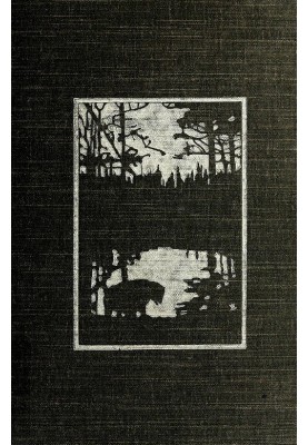 The Heart of the Ancient Wood