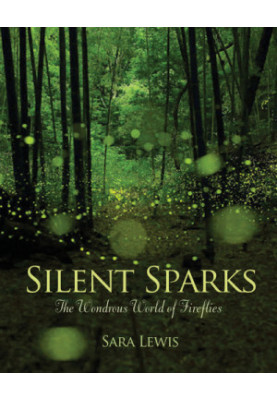 Silent Sparks: The Wondrous World of Fireflies