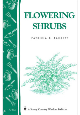 Flowering Shrubs