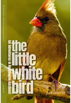 The Little White Bird