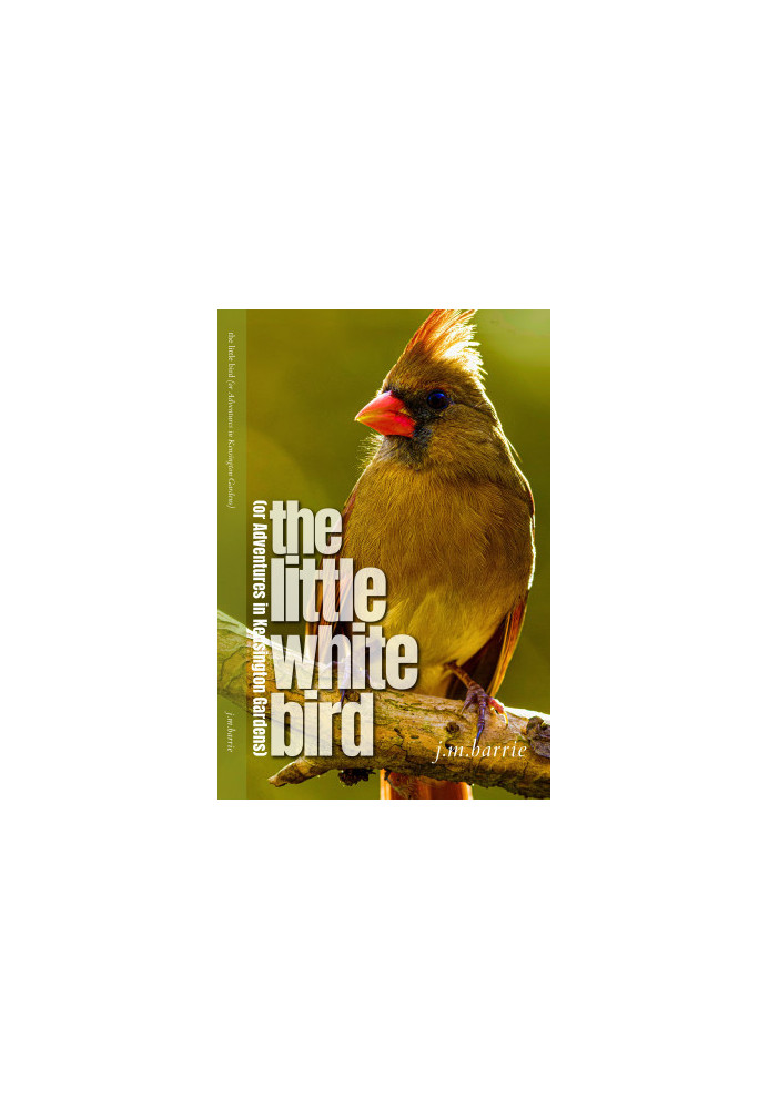 The Little White Bird
