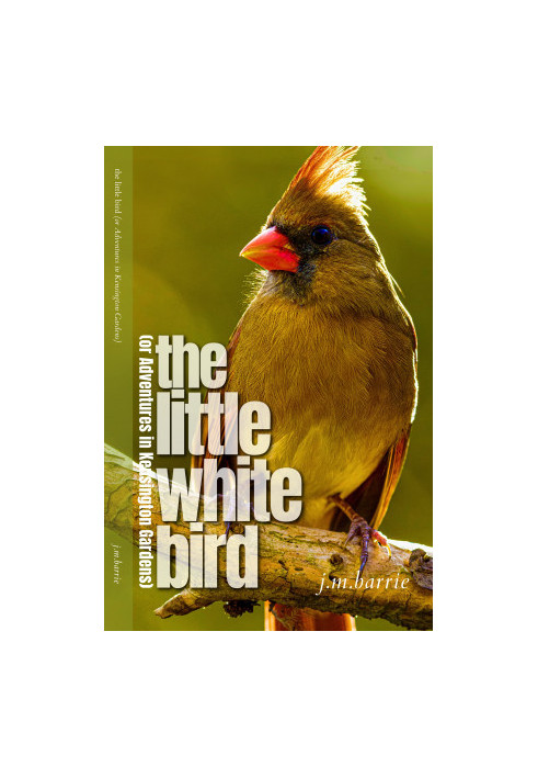 The Little White Bird