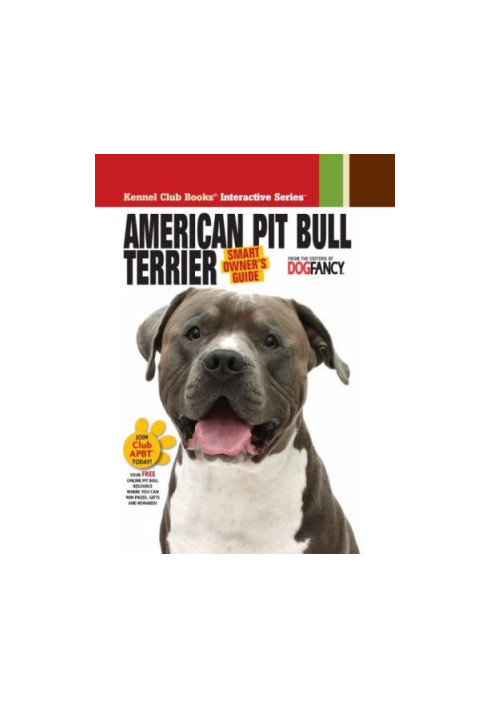 American Pit Bull Terrier