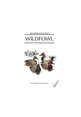 Wildfowl: An Identification Guide to the Ducks, Geese and Swans of the World