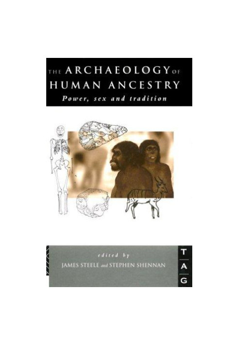 The Archaeology of Human Ancestry: Power, Sex and Tradition