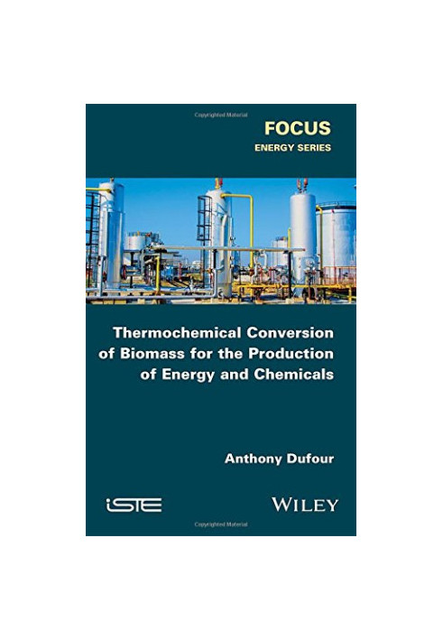 Thermochemical conversion of biomass for the production of energy and chemicals