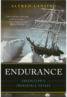 Endurance: Shackleton's incredible voyage