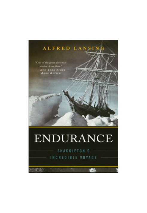 Endurance: Shackleton's incredible voyage
