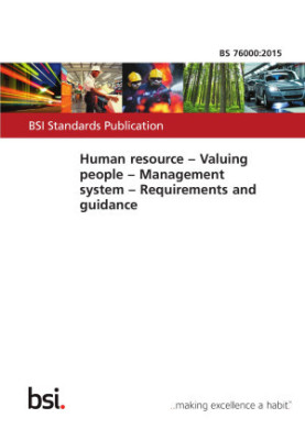 Human Resource. Valuing People. Management System. Requirements and Guidance