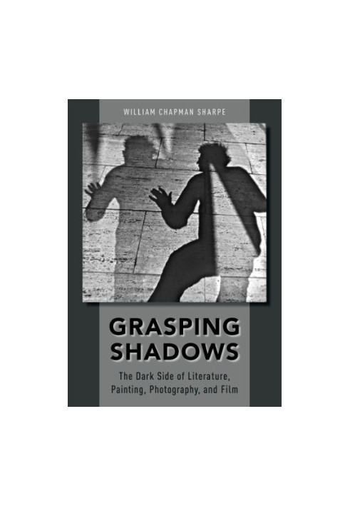 Grasping shadows: the dark side of literature, painting, photography, and film