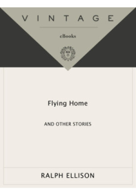 Flying Home And Other Stories