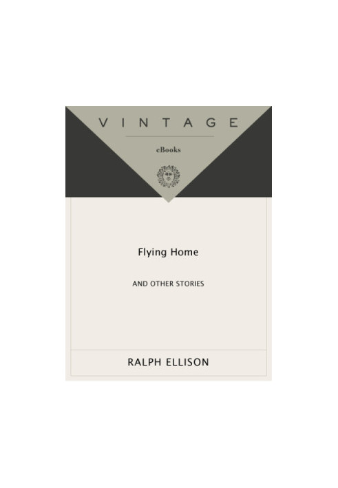 Flying Home And Other Stories