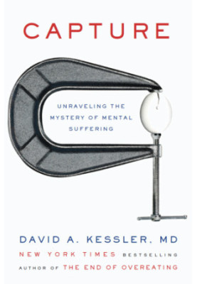 Capture: Unraveling the Mystery of Mental Suffering