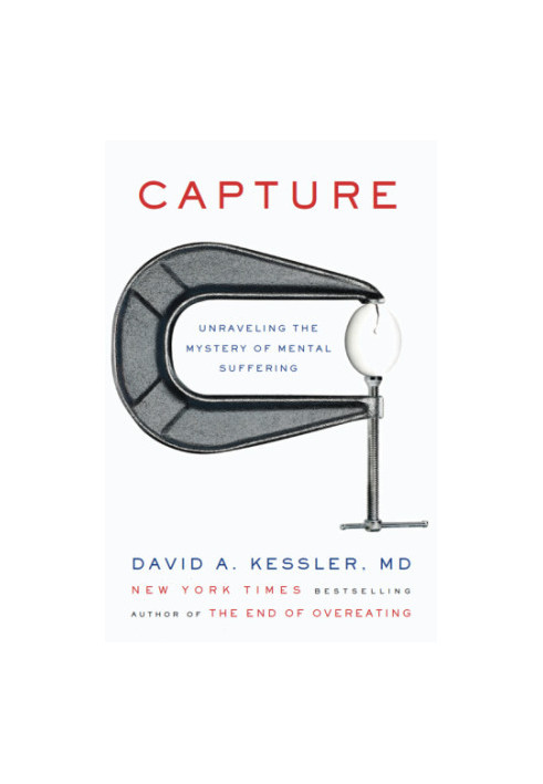 Capture: Unraveling the Mystery of Mental Suffering