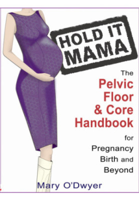 Hold It Mama: the Pelvic Floor and Core Handbook for Pregnancy, Birth and Beyond