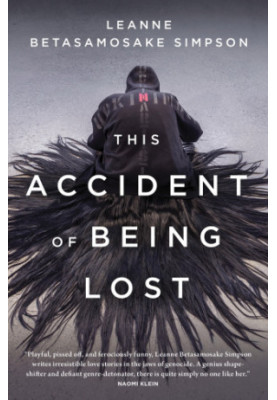 This Accident of Being Lost: Songs and Stories