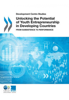Unlocking the Potential of Youth Entrepreneurship in Developing Countries - From Subsistence to Performance