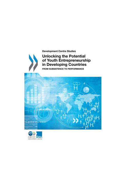 Unlocking the Potential of Youth Entrepreneurship in Developing Countries - From Subsistence to Performance