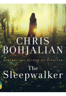 Ahlberg 01-The Sleepwalker