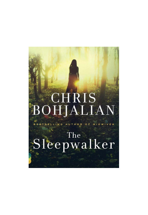 Ahlberg 01-The Sleepwalker