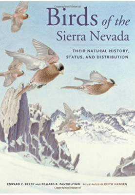 Birds of the Sierra Nevada : their natural history, status, and distribution