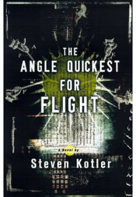 The Angle Quickest for Flight