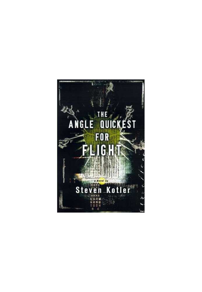 The Angle Quickest for Flight