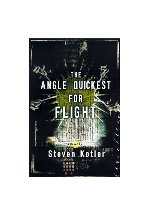 The Angle Quickest for Flight