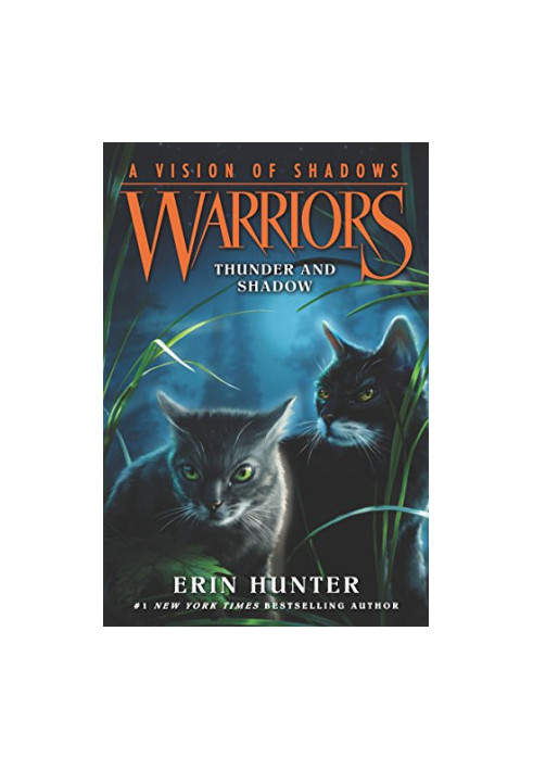 Warriors: A Vision of Shadows 2: Thunder and Shadow