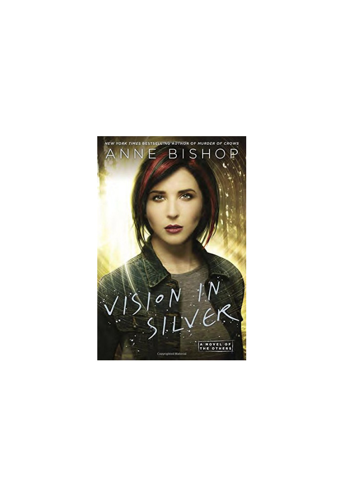 Vision In Silver (The Others, 03)