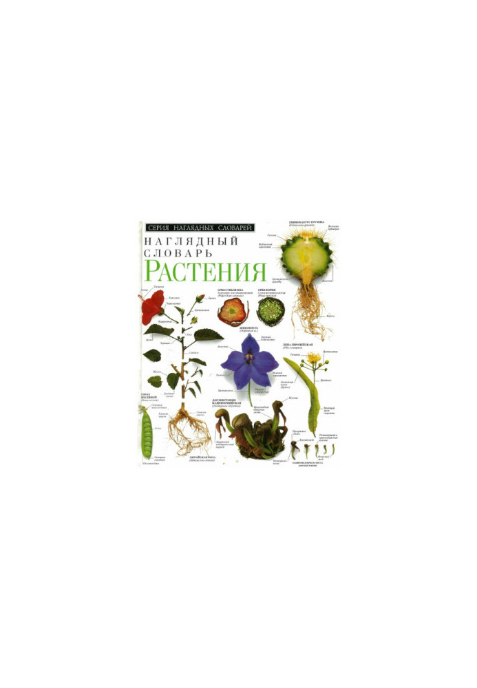 Растения. Наглядный словарь