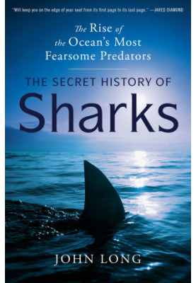 The Secret History of Sharks: The Rise of the Ocean's Most Fearsome Predators