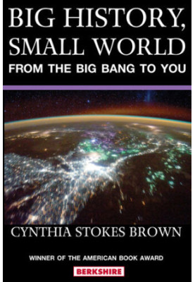 Big History, Small World: From the Big Bang to You