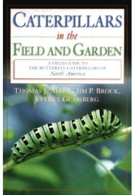 Caterpillars in the Field and Garden: a Field Guide to the Butterfly Caterpillars of North America