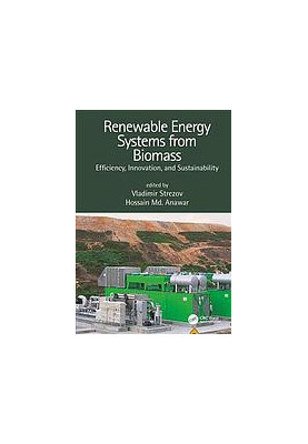 Renewable energy systems from biomass: efficiency, innovation and sustainability