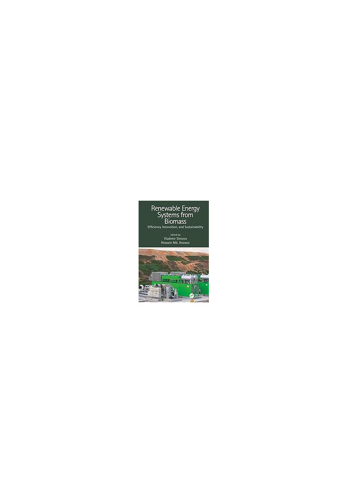 Renewable energy systems from biomass: efficiency, innovation and sustainability