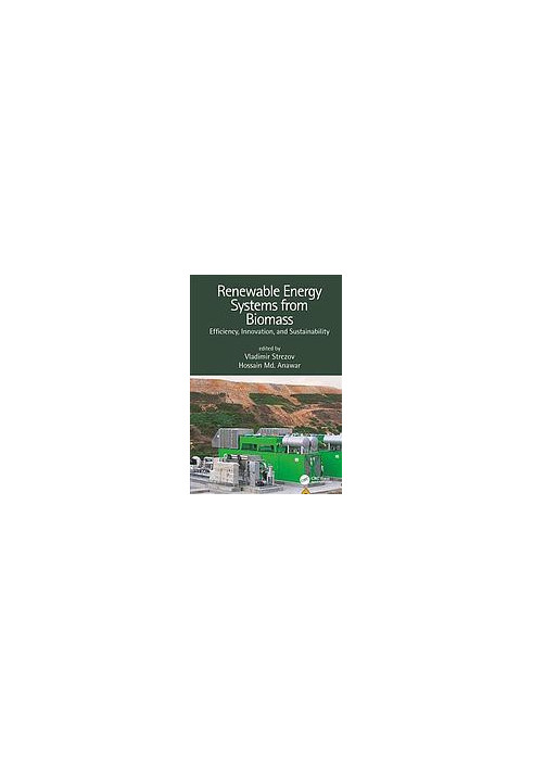 Renewable energy systems from biomass: efficiency, innovation and sustainability