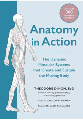 Anatomy in Action