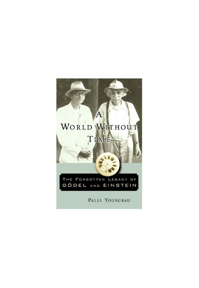 A World Without Time: The Forgotten Legacy Of Goedel And Einstein